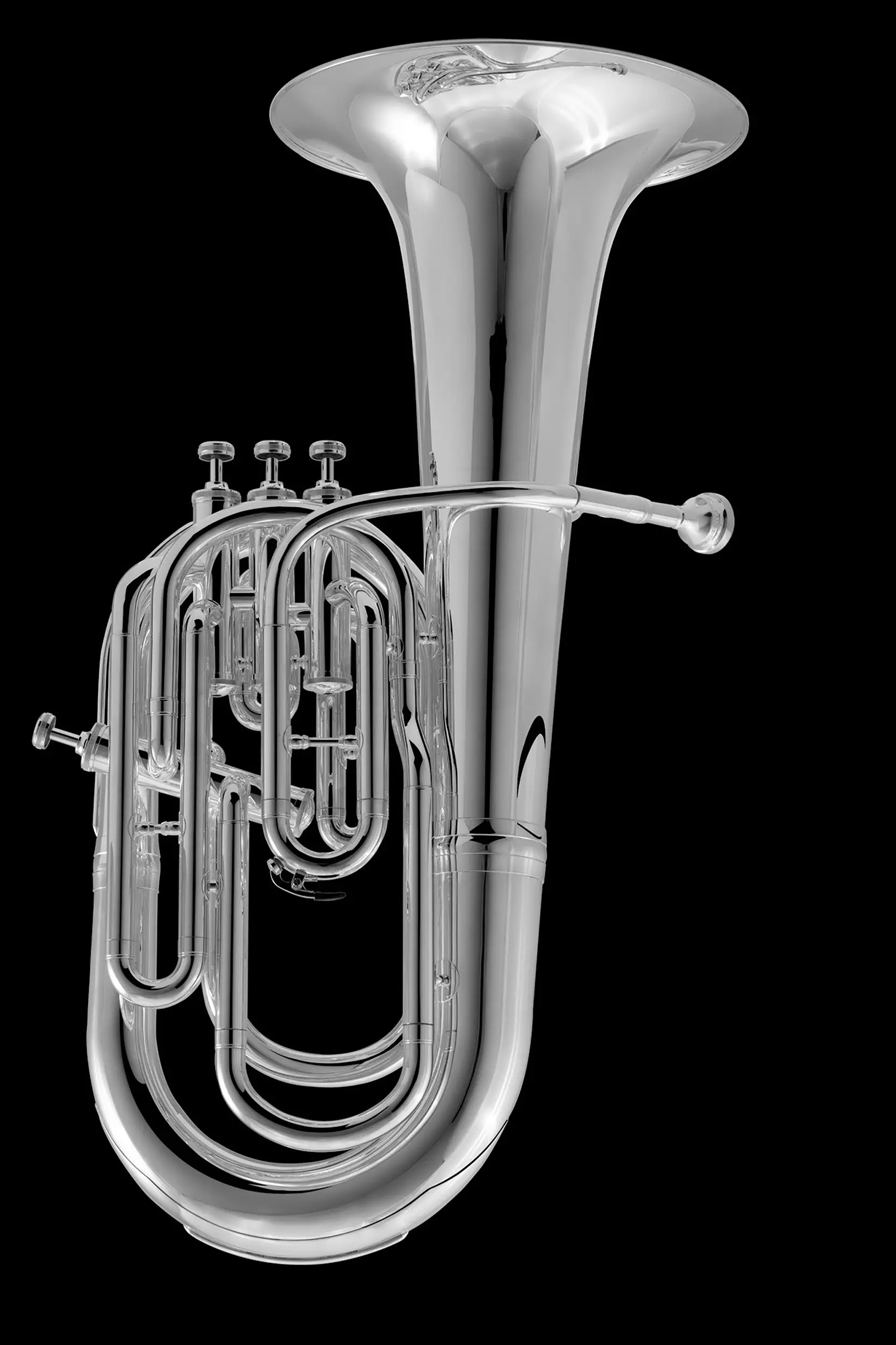 Horns